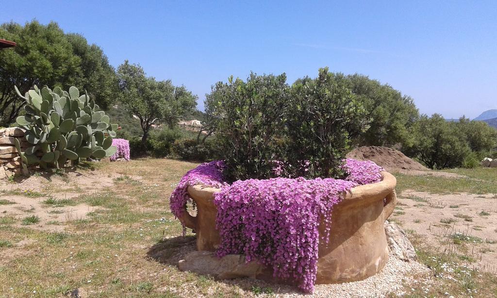 Stazzu Gallurese Villa Portisco Kültér fotó
